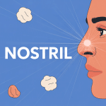 illustration nostril santé nasale