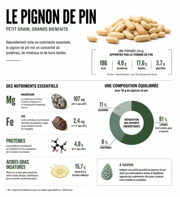 Infographie illustrant les bienfaits nutritionnels et les apports en vitamines et minéraux des pignons de pin pour la santé.