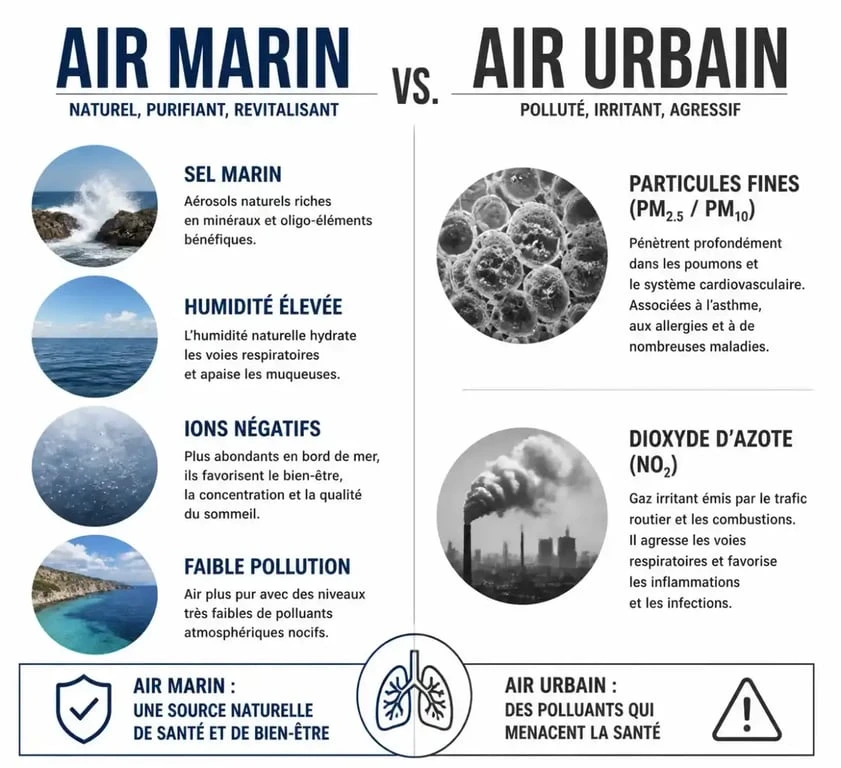 Infographie comparative : composition de l'air iodé marin versus air urbain